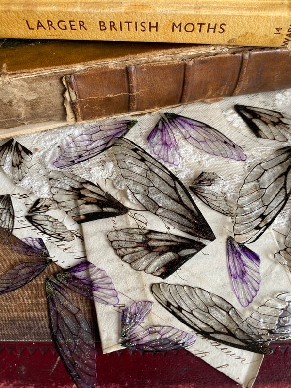 Image of Black and purple faerie wing bundle pack