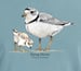Image of Piping Plover long sleeve t-shirt