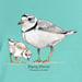 Image of Piping Plover garment dyed ladies v-neck t-shirt