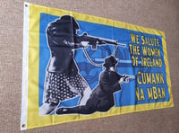 Image 1 of Cumann na mBan Flag 