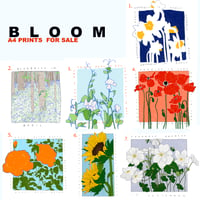 BLOOM A4  Prints