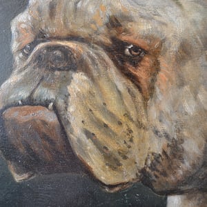 Image of 1936 Oil painting of a Bulldog