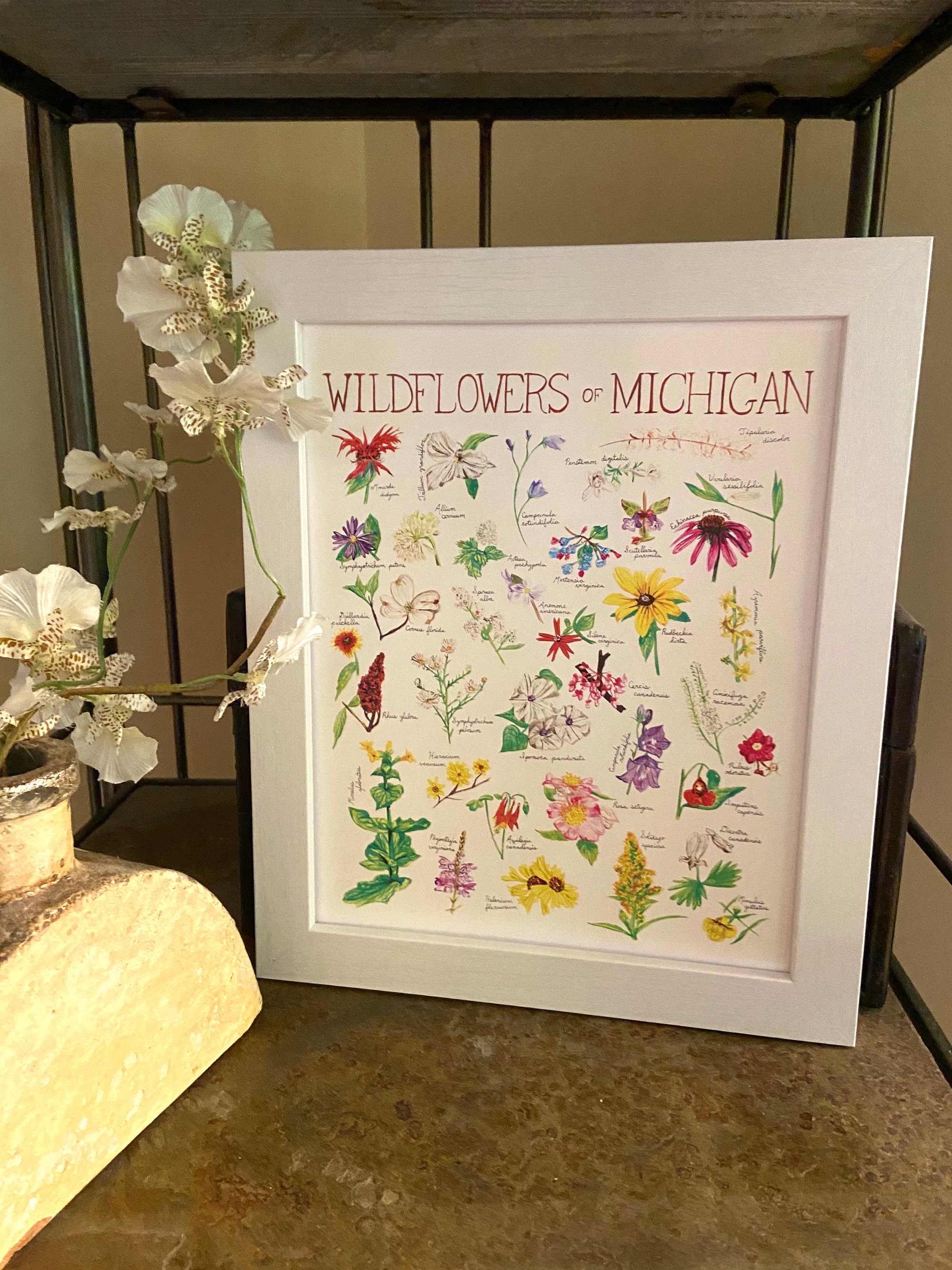 Michigan Wildflowers 18x24 Print