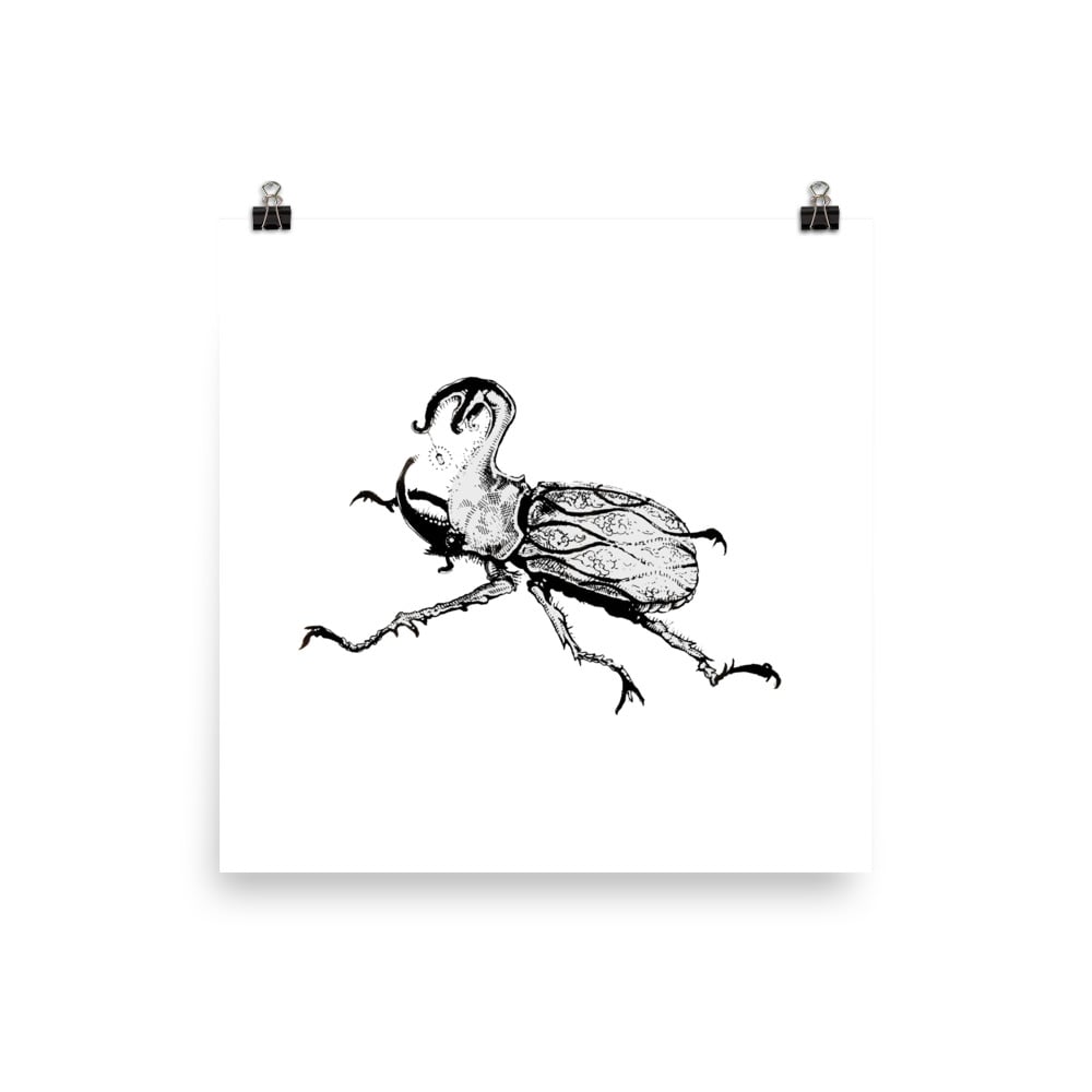 Image of Beetle Print