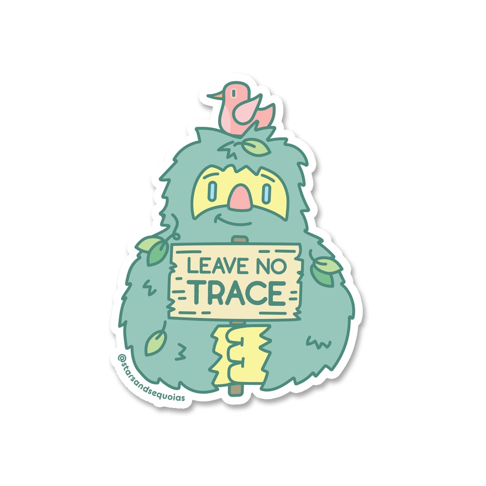 Image of Leave No Trace
