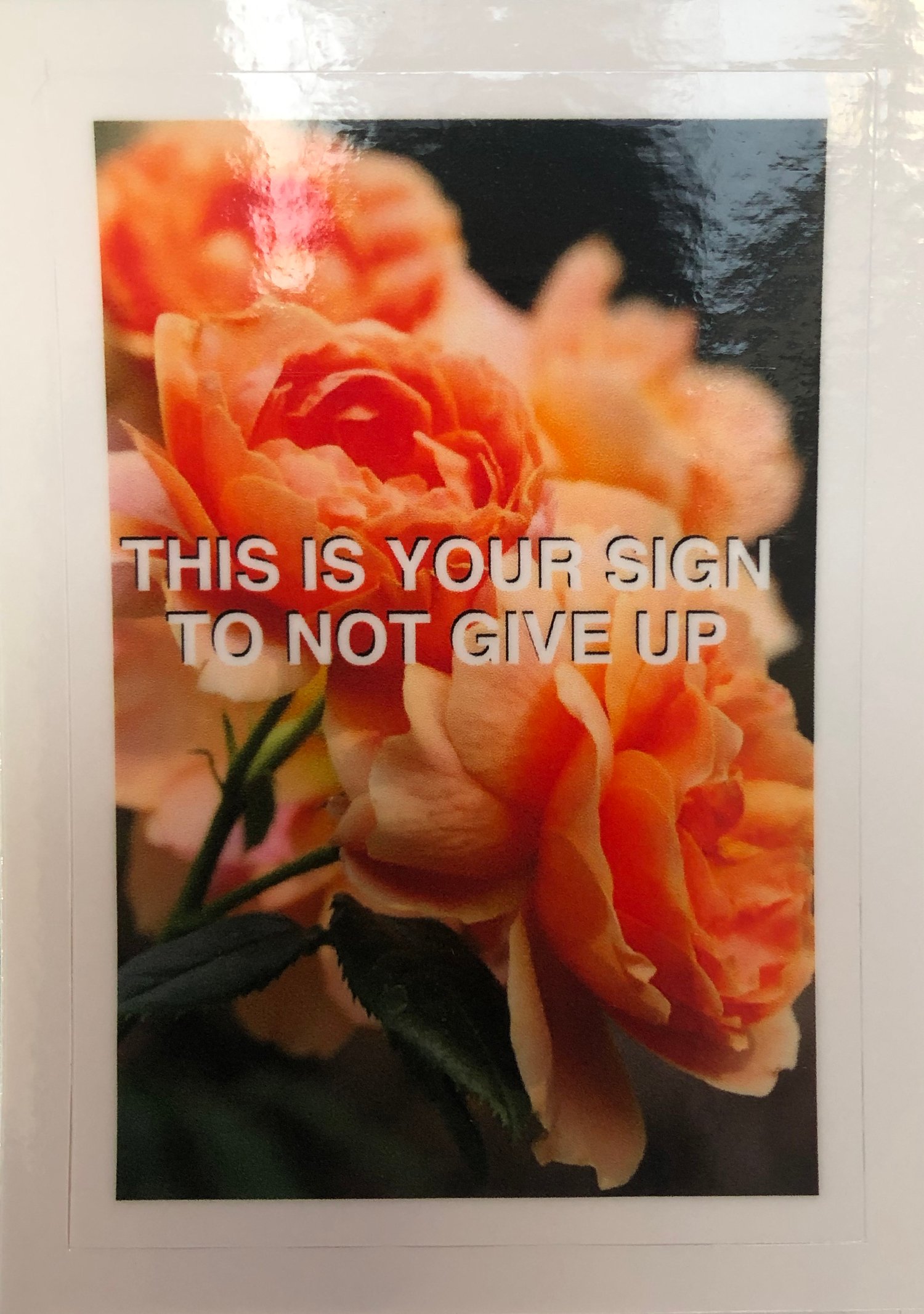 THIS IS YOUR SIGN TO NOT GIVE UP