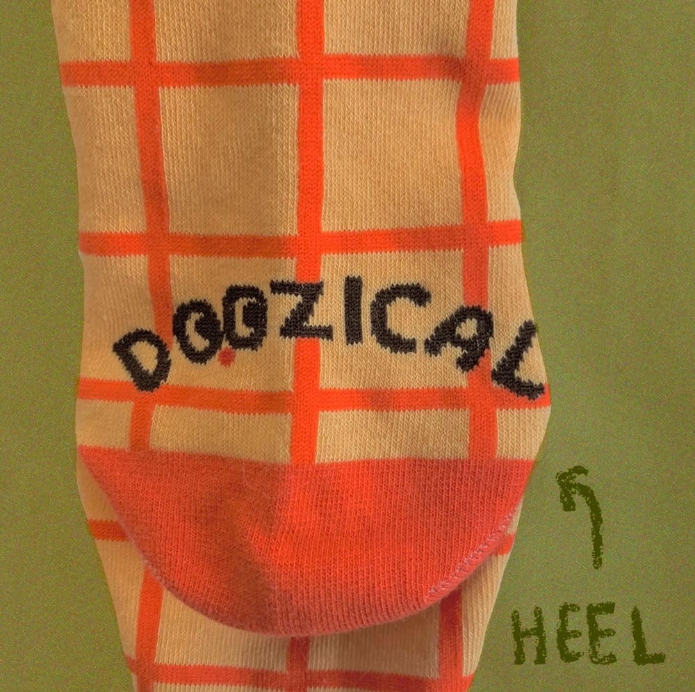 bear socks