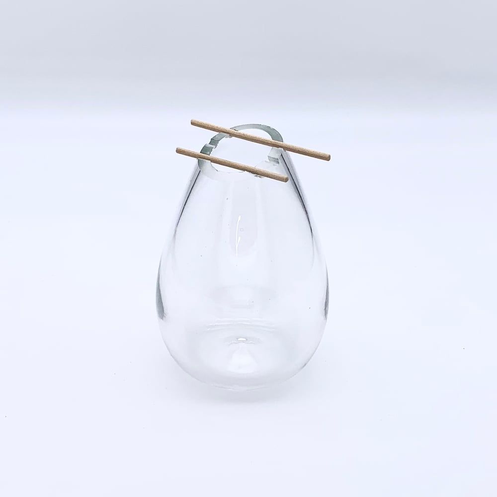 Image of Propagation Jar