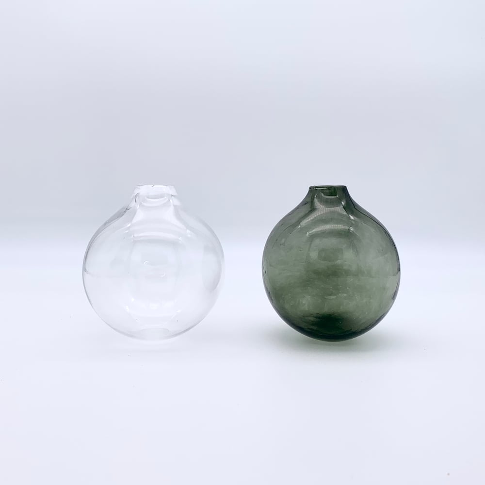 Image of Plant Orb