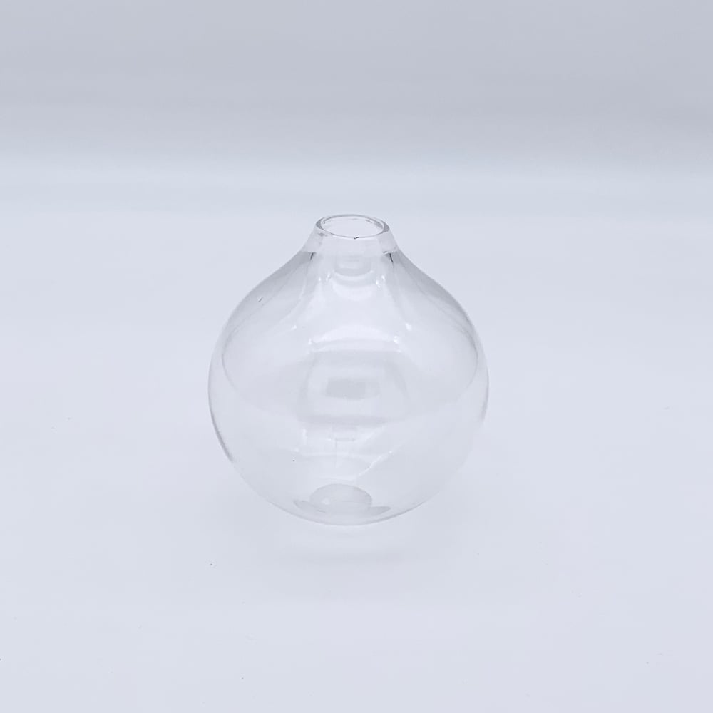 Image of Plant Orb