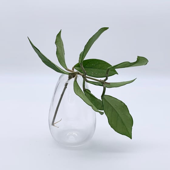 Image of Dove Vase