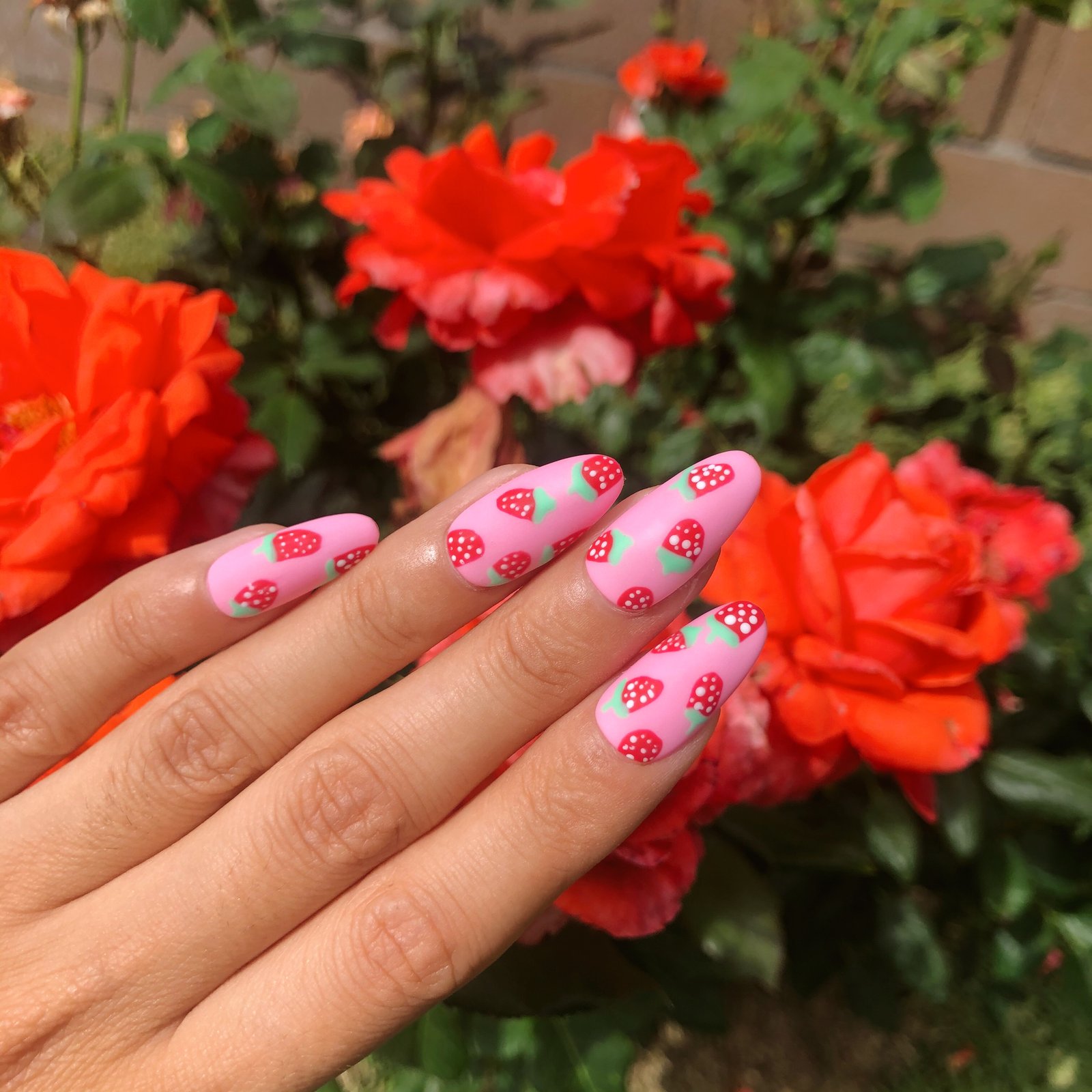 Strawberry Nail Set | Nails by Elizabeth