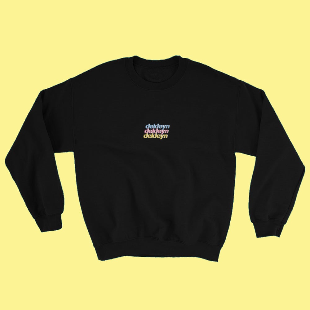 Image of 2019 DEKLEYN JUMPER