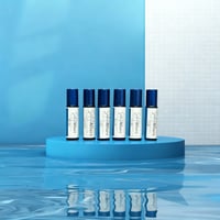 Seductive Allure Fragrance Body Oil (each)
