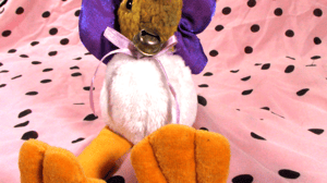 peace the duck witch