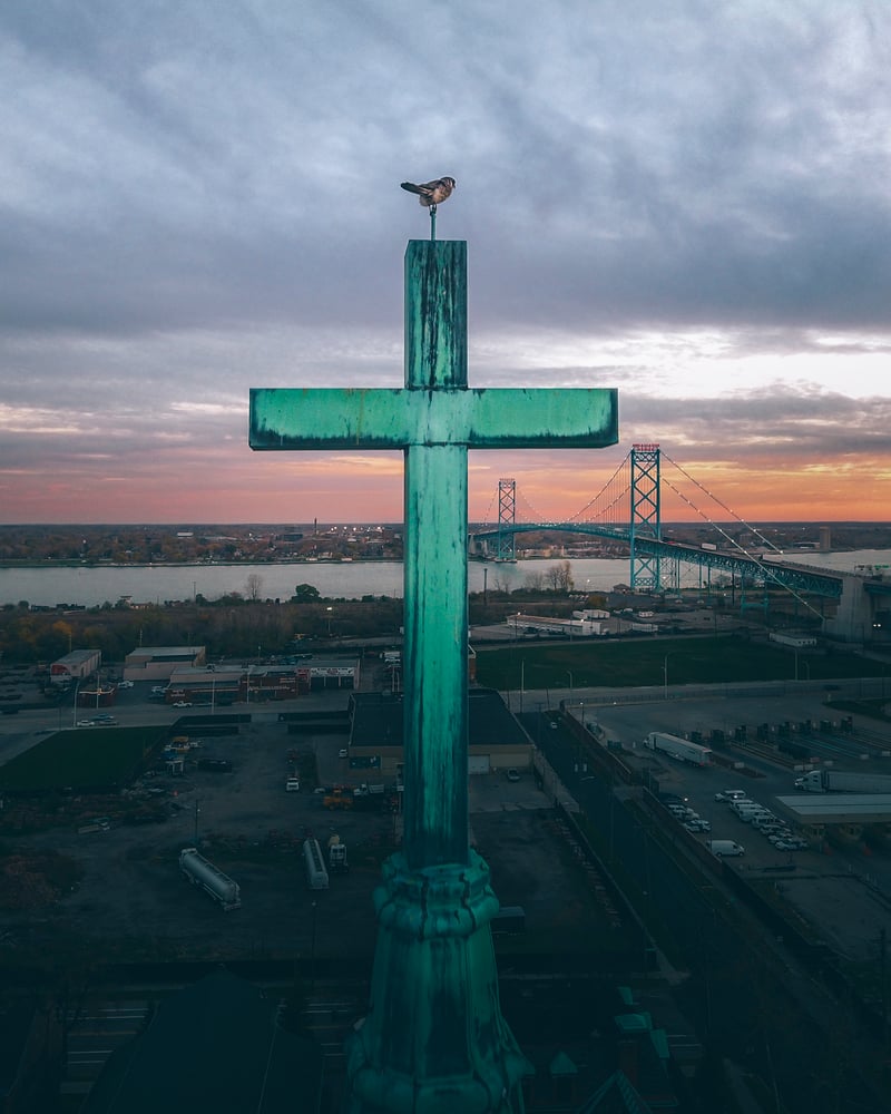 Image of Holy Hawk