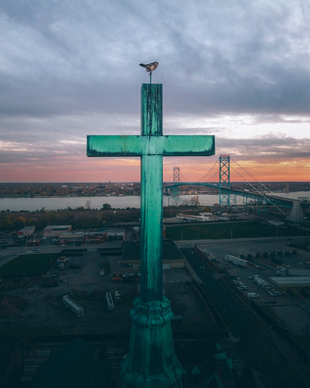 Image of Holy Hawk