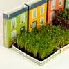 Conjunto de 4 Casas de Microvegetais