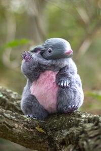 Image 16 of Gamusino artdoll [PREORDER] (different colors available)