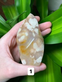 Image 1 of Flower Agate Flames