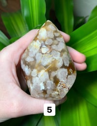 Image 5 of Flower Agate Flames