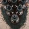Image of Infused Organic Black Seed (nigella sativa) Oil 2 oz
