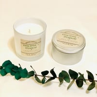 Image 2 of EUCALYPTUS + SPEARMINT