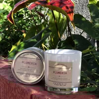 Image 3 of PLUMERIA