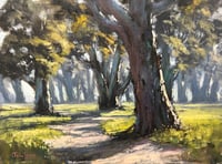 Track To The Macquarie, Dubbo