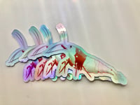 Two Pure Red Line - Holographic Caridina Stickers