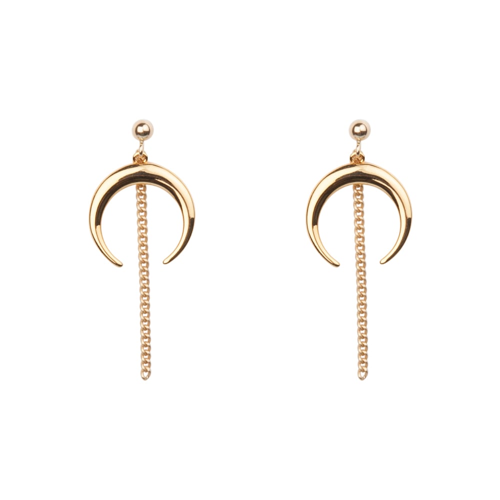 Image of Horn earrings