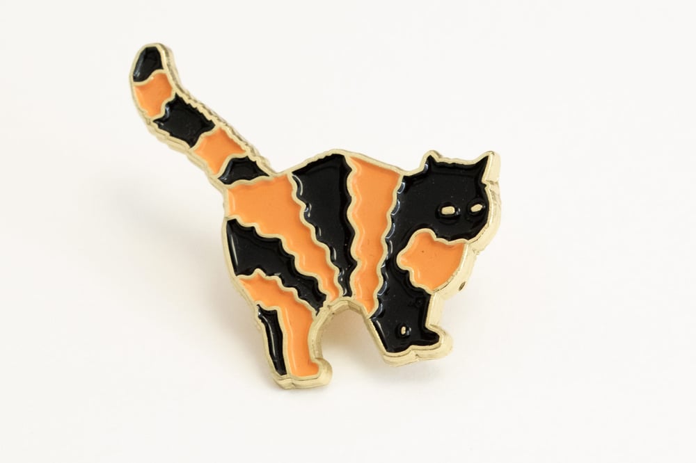 Image of Magic Cat Pin
