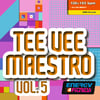 EFF659-2 // TEE VEE MAESTRO 05 (MIXED CD COMPILATION 136-150 BPM)