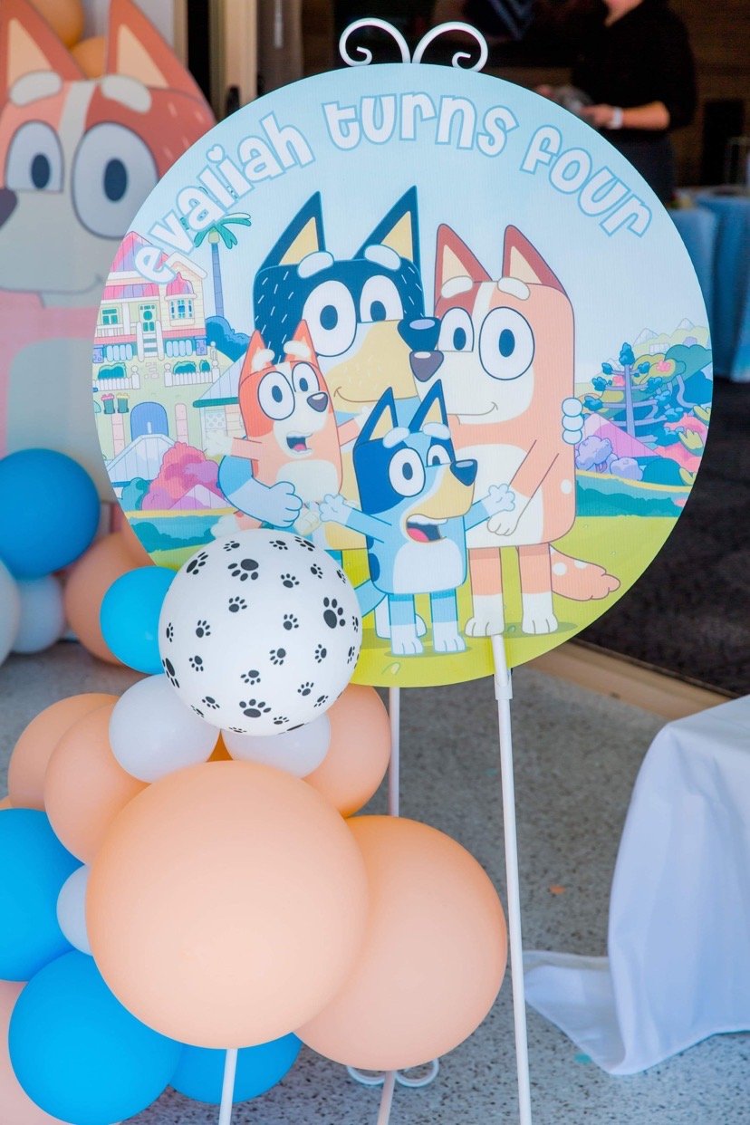 BLUEY PARTY PACK