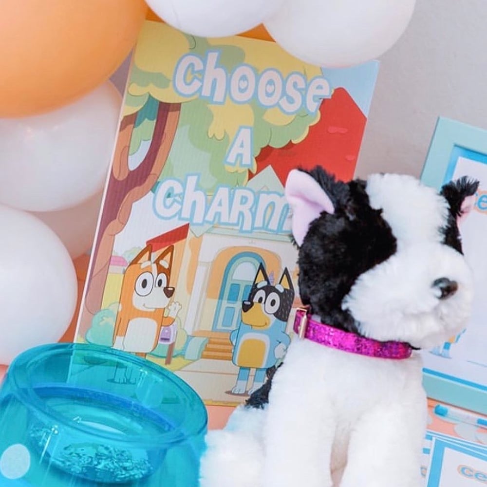 BLUEY PARTY PACK