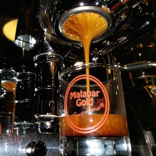 Malabar Gold Espresso (5lbs+)