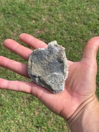 Image 9 of Calcite With Chalcopyrite Flakes Specimen #1911