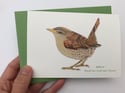 ⭐️ Garden Birds - pack of 10 cards ⭐️