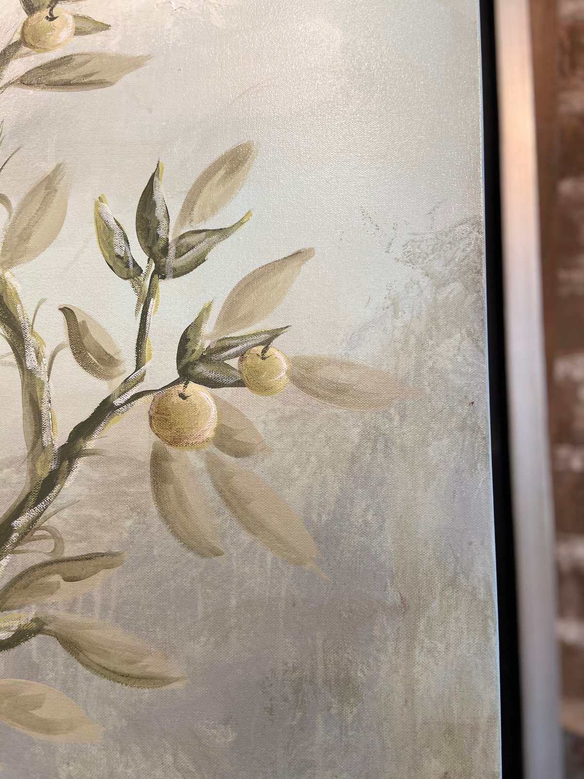 Image of Fruit Tree Trio 50