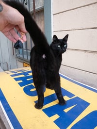 Image 2 of 3D Printed Cat Balls Keychain