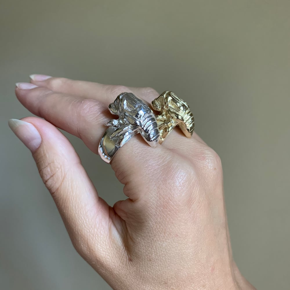 Image of Cicada Ring