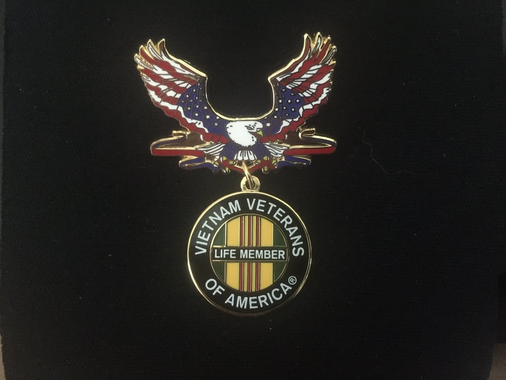 Image of Vietnam Veterans Of America Life Member Patriotic Eagle Pin