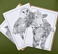 Image 3 of ‘Hereford Cow’ Greetings Card