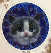 Image 2 of “Blue Lily” print 