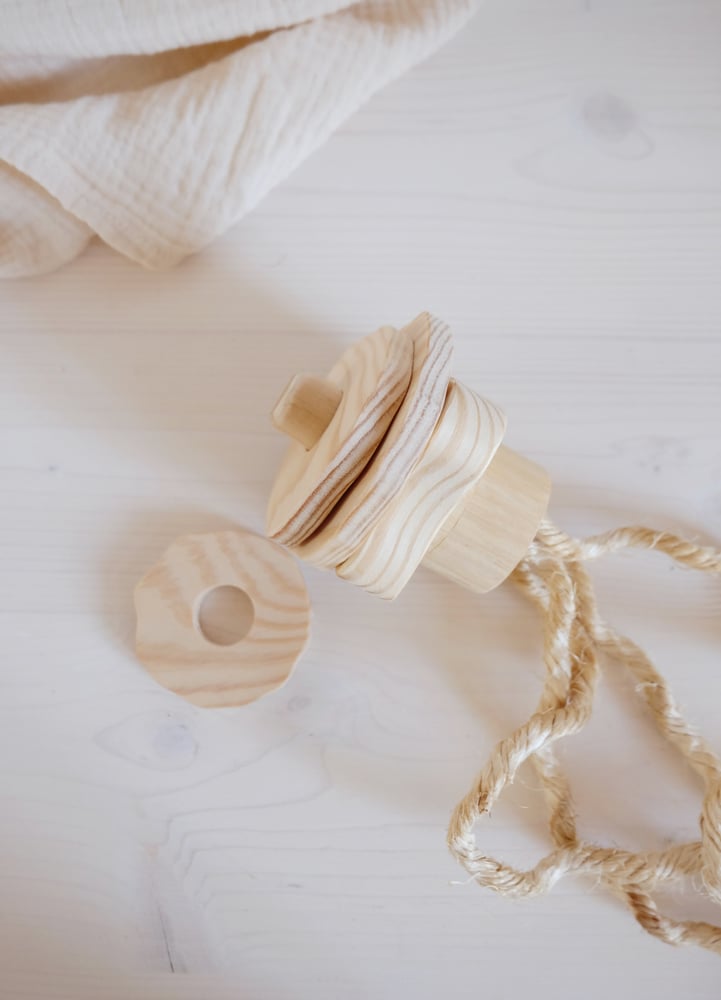Image of JELLYFISH