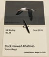 Black browed Albatross - Sept 2020