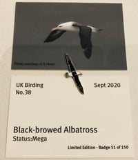 Image 1 of Black browed Albatross - Sept 2020