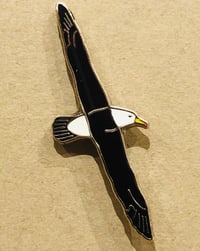 Image 2 of Black browed Albatross - Sept 2020