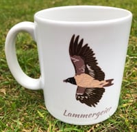 Image 1 of Lammergeier Mug
