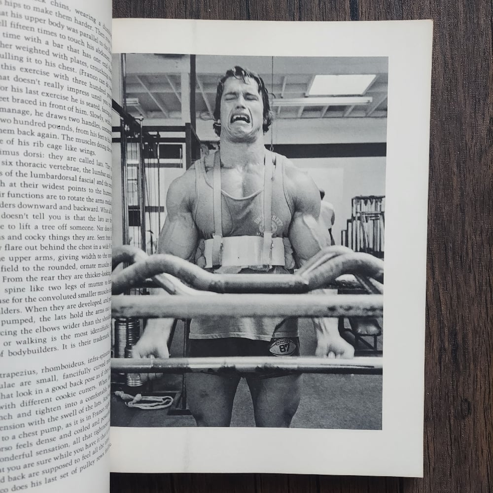 Pumping Iron: The Art and Sport of Bodybuilding, by Charles Gaines and George Butler